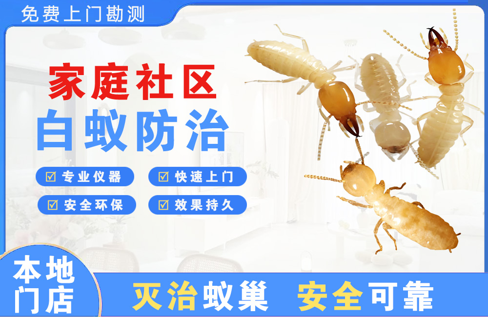 钦州家庭社区白蚁防治