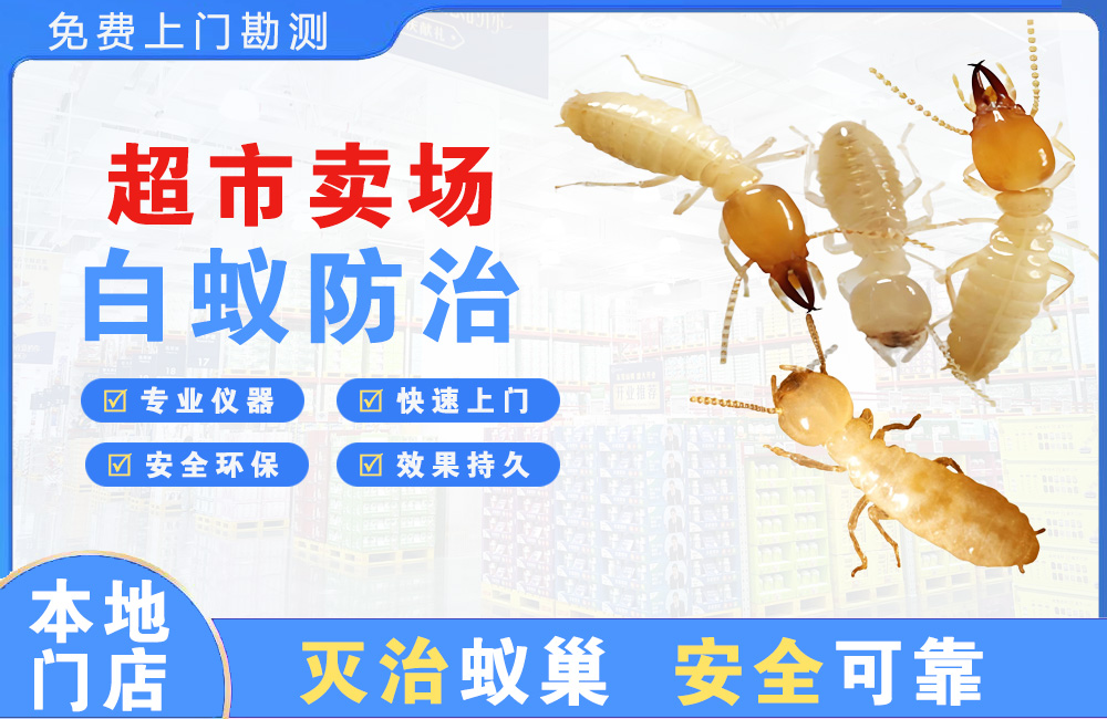 钦州超市卖场白蚁防治