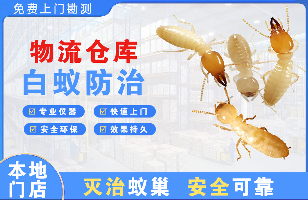 钦州物流仓库白蚁防治