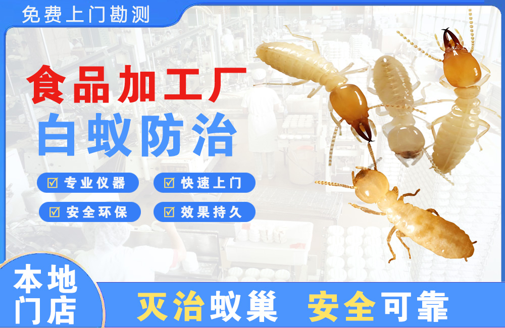 钦州食品加工厂白蚁防治