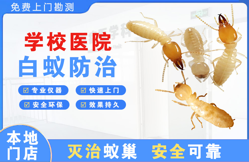 钦州学校医院白蚁防治